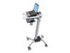 ERGOTRON Ergotron Neo-Flex Laptop Cart